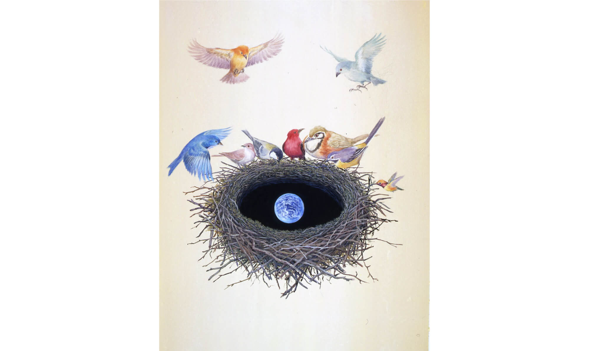 小山市立車屋美術館「鈴木まもる 絵本と世界の鳥の巣 展」| フリーペーパー push online