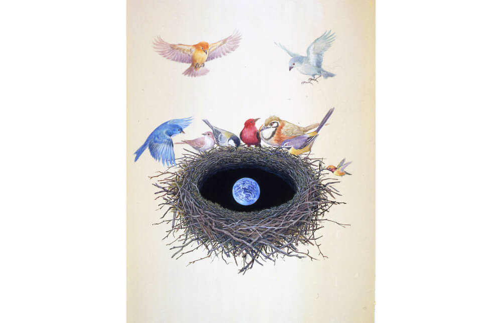 小山市立車屋美術館「鈴木まもる 絵本と世界の鳥の巣 展」 | フリーペーパー push online